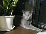 088_03.jpg